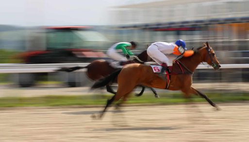 Bet and Watch Horse Racing