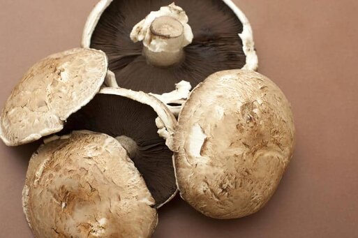 Large fresh raw portobello mushrooms Large fresh raw portobello mushrooms