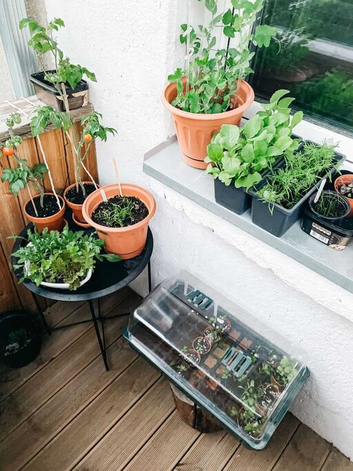 indoor vegetable garden indoor vegetable garden