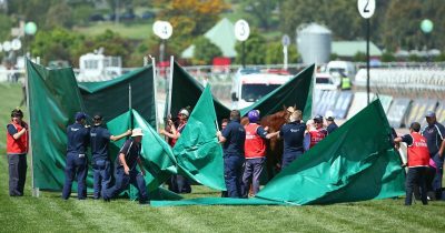 Assembling green screens at racecourse