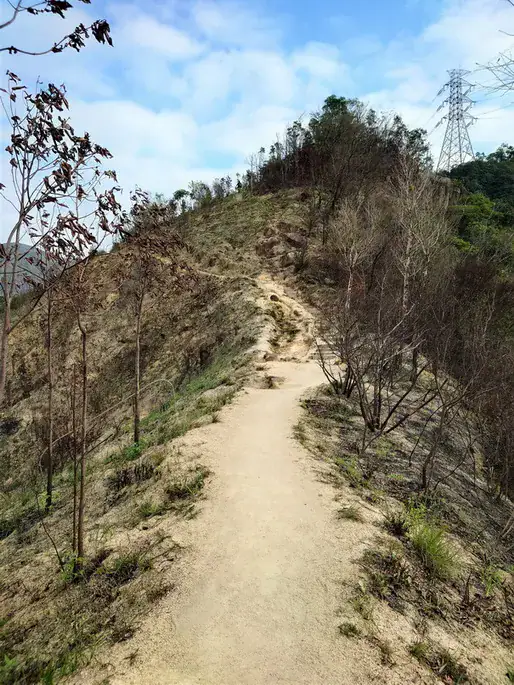 蝌蚪坪、貓仔山