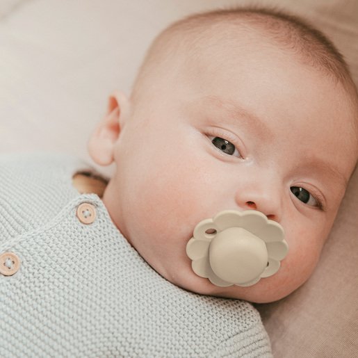 Suavinex Pack Sucette Wonder 0-6 mois Marron