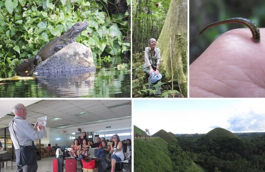 Visayan birding scenes