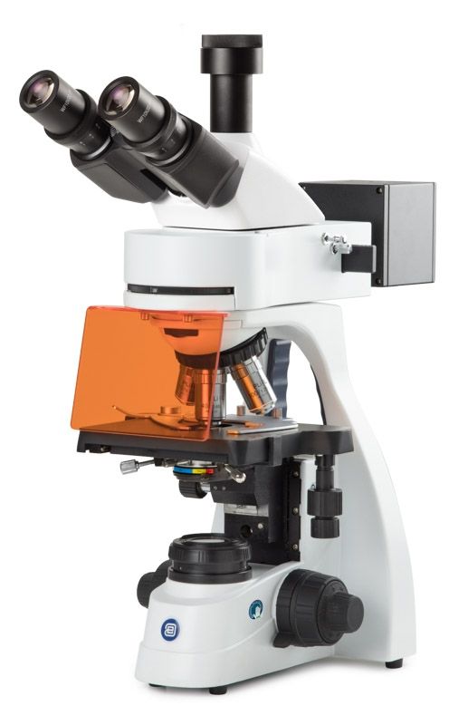 Microscopio bScope para Fluorescencia, Trinocular BS.3153-PLFi