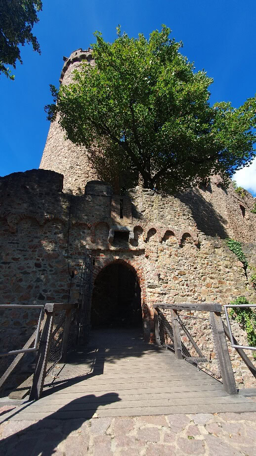 Eingang in das Schloss Auerbach