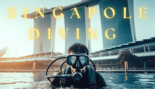 シンガポールのスクーバダイビング環境について