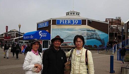 Pier39を観光、その後ナイアガラマリオットスパへ