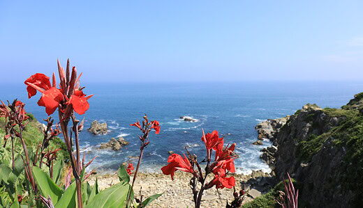 犬吠埼灯台、屏風ヶ浦の地層