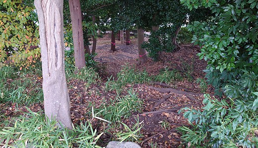 宮ノ腰公園事件にびっくり