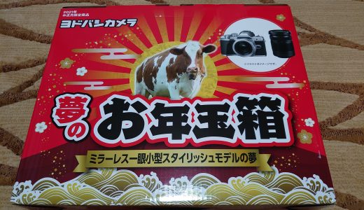 ヨドバシカメラ福袋「夢のお年玉箱2021 ミラーレス一眼小型スタイリッシュモデルの夢」
