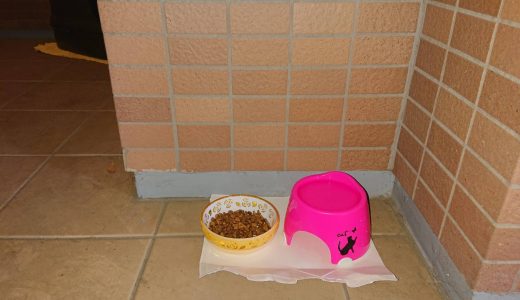 こむぎが使っている猫トイレや食事を玄関前に用意