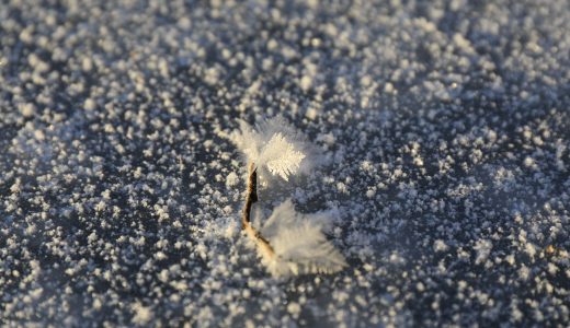 ウトナイ湖の「フロストフラワー、気嵐、日の出」