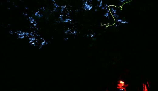 久米島ホタル（久米島ホタル館）、星空