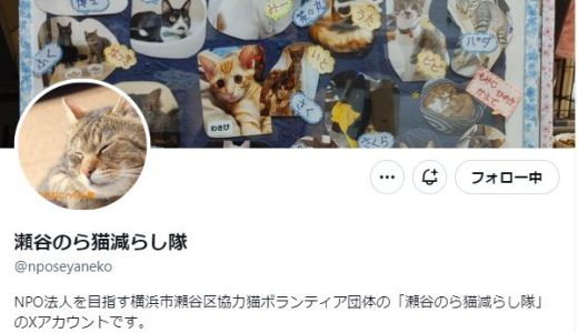 NPO法人を目指す「瀬谷のら猫減らし隊」の広報担当と戦略担当を行っている