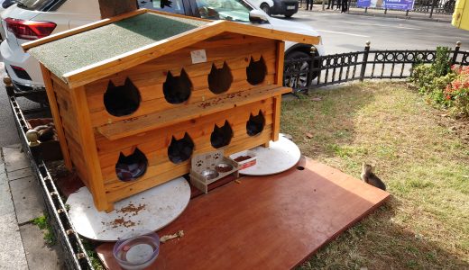 ICANN81の会場「イスタンブールコングレスセンター」の近くの幹線道路沿いにあった猫ちゃんハウス