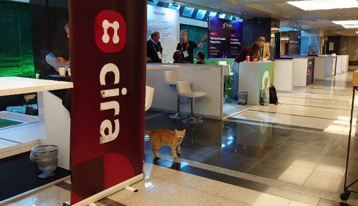 ICANN81イスタンブールの会場ICC（イスタンブールコングレスセンター）内の地下2階に侵入する茶トラ猫