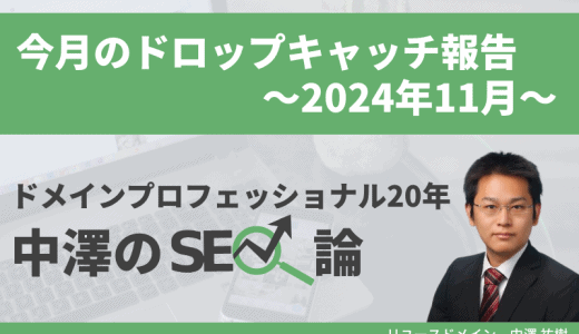 今月のドロップキャッチ報告（2024年11月、高ランクドメイン、DR50台0件、DR60台3件、DR70台0件）