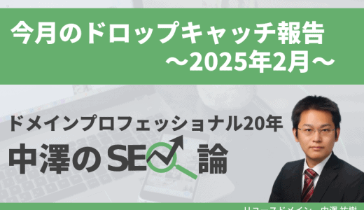 今月のドロップキャッチ報告（2025年2月、高ランクドメイン、DR50台11件、DR60台1件、DR70台0件）
