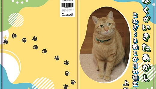 「ぼくがいきたあかし～こむぎ猫生3歳1か月～上巻」Amazon出版される