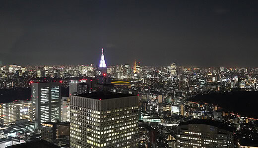 東京都庁とその付近の夜景