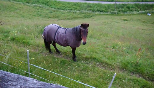 民泊一軒家の外の景色とスローライフ風景