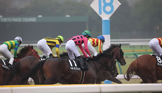 東京11R神無月ステークス、ハチメンロッピ