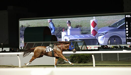 川崎10R時雨空特別ラジエーション2着、ピーエムナナ独走