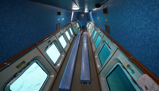 支笏湖の遊覧水中船からの柱状節理（ちゅうじょうせつり）鑑賞