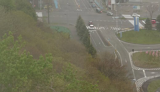 緑ヶ丘公園展望台2025