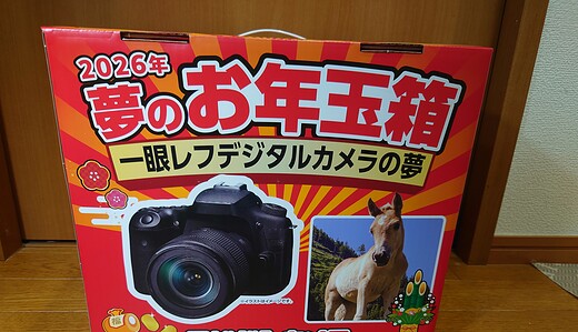 ヨドバシカメラ夢のお年玉箱2026「一眼レフデジタルカメラの夢」は、Canon EOS90Dレンズセット