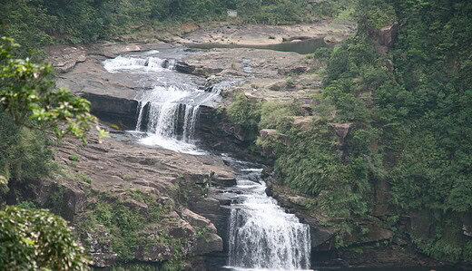 西表島、マリュドゥの滝、カンピレーの滝、船浦湾、由布島、サキシマスオウノキ群落