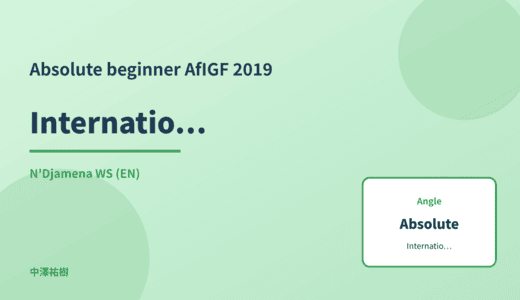 Absolute beginner: International norm-setting — AfIGF 2019 N'Djamena WS