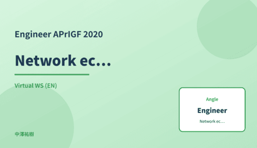 Engineer: Network economics — APrIGF 2020 Virtual WS