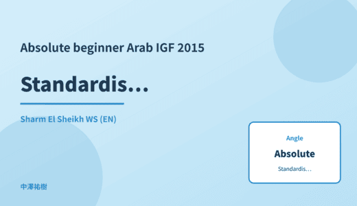 Absolute beginner: Standardisation processes — Arab IGF 2015 Sharm El Sheikh WS