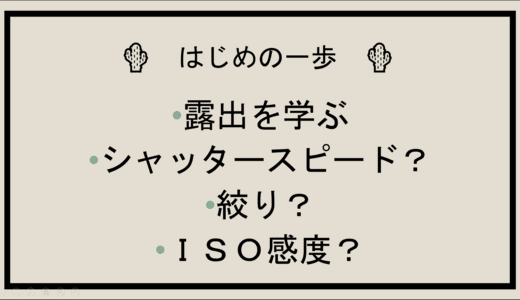 【初心者向け】露出を決定づける３つの要素【一眼カメラデビュー】