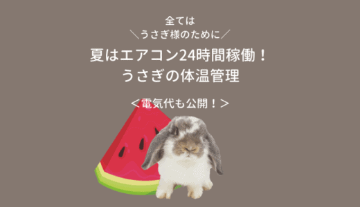 夏、うさぎ、落ちてます｜エアコンフル稼働の電気代も公開
