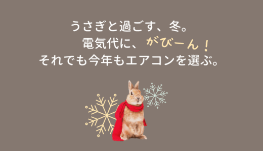 うさぎと冬｜衝撃の電気代｜それでも今年もエアコンを選ぶ