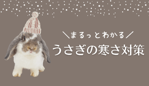 【２０２２年最新】うさぎの寒さ対策、まとめました！１００均でも大丈夫？