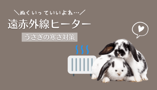 うさぎに優しい、遠赤外線ヒーターでぽかぽかの冬を