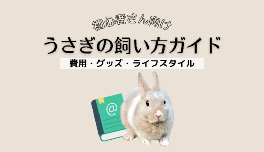 うさぎの飼い方ガイド｜初心者さんの疑問にわかりやすく