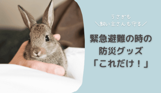 うさぎの防災グッズ｜これだけ！緊急性の高い一次避難の時に必要なもの