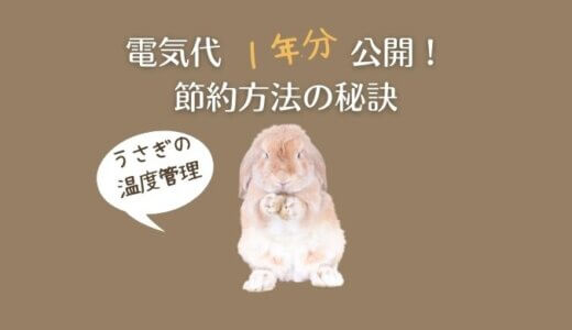 【うさぎと電気代】夏と冬、エアコンやヒーターをつけっぱなしでかかった費用を公開