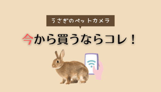 うさぎのペットカメラはSwitchbot（スイッチボット）がオススメ