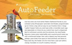 Pigeon Proof Bird Feeder