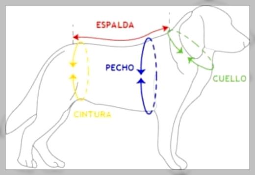 como hacer ropa para perros