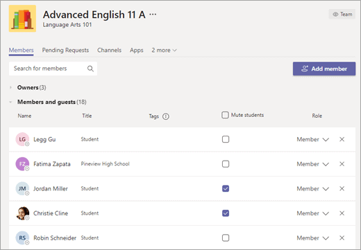 How to Mute Members on Microsoft Teams Channel
