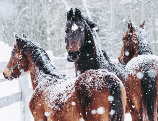Ernährung und Bewegung im Winter