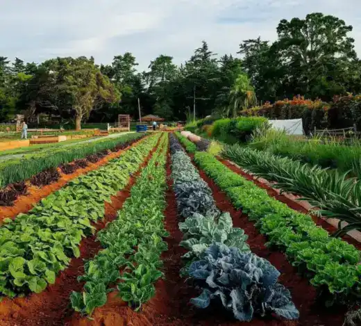 Sustainable Agriculture