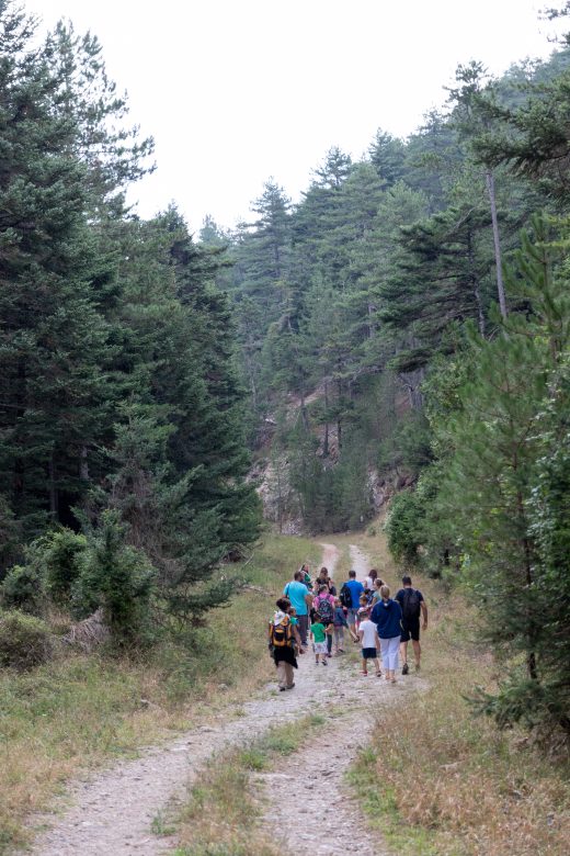 Περίπατοι στη φύση