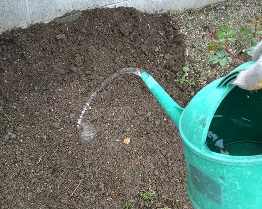 菌の黒汁を堆肥に2